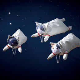 Pennfodral Astro Cat Black i gruppen Pennor / Penntillbehör / Pennskrin och fodral hos Pen Store (137908)