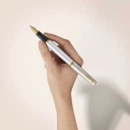 Meridian Chrome/Gold Reservoar i gruppen Pennor / Fine Writing / Reservoarpennor hos Pen Store (138303_r)