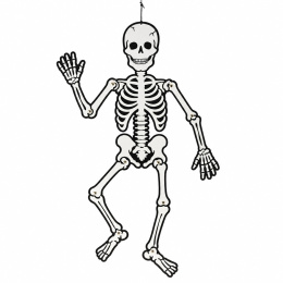 Skelett Självlysande 120 cm i gruppen Kids / Högtider / säsong för barn / Barnens Halloween  hos Pen Store (138370)